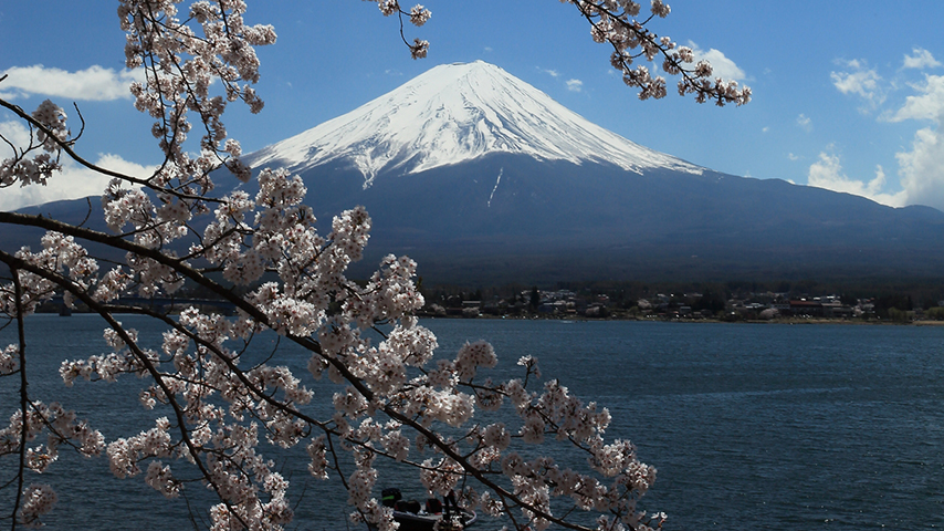 Daytrip Taxi デイトリップタクシー 日の丸交通